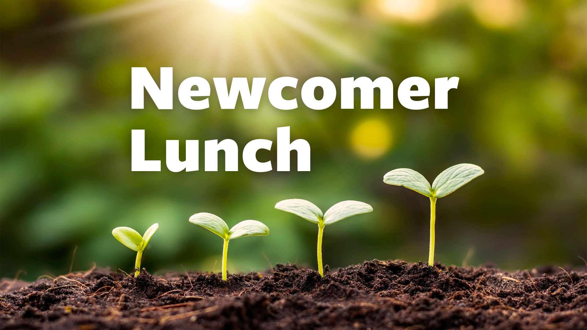 Newcomer Lunch